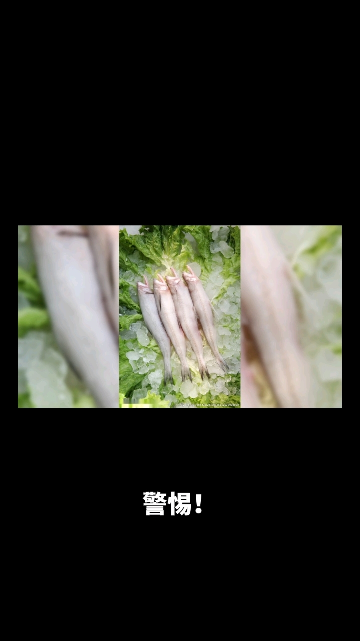 龙头鱼尽量少吃的原因