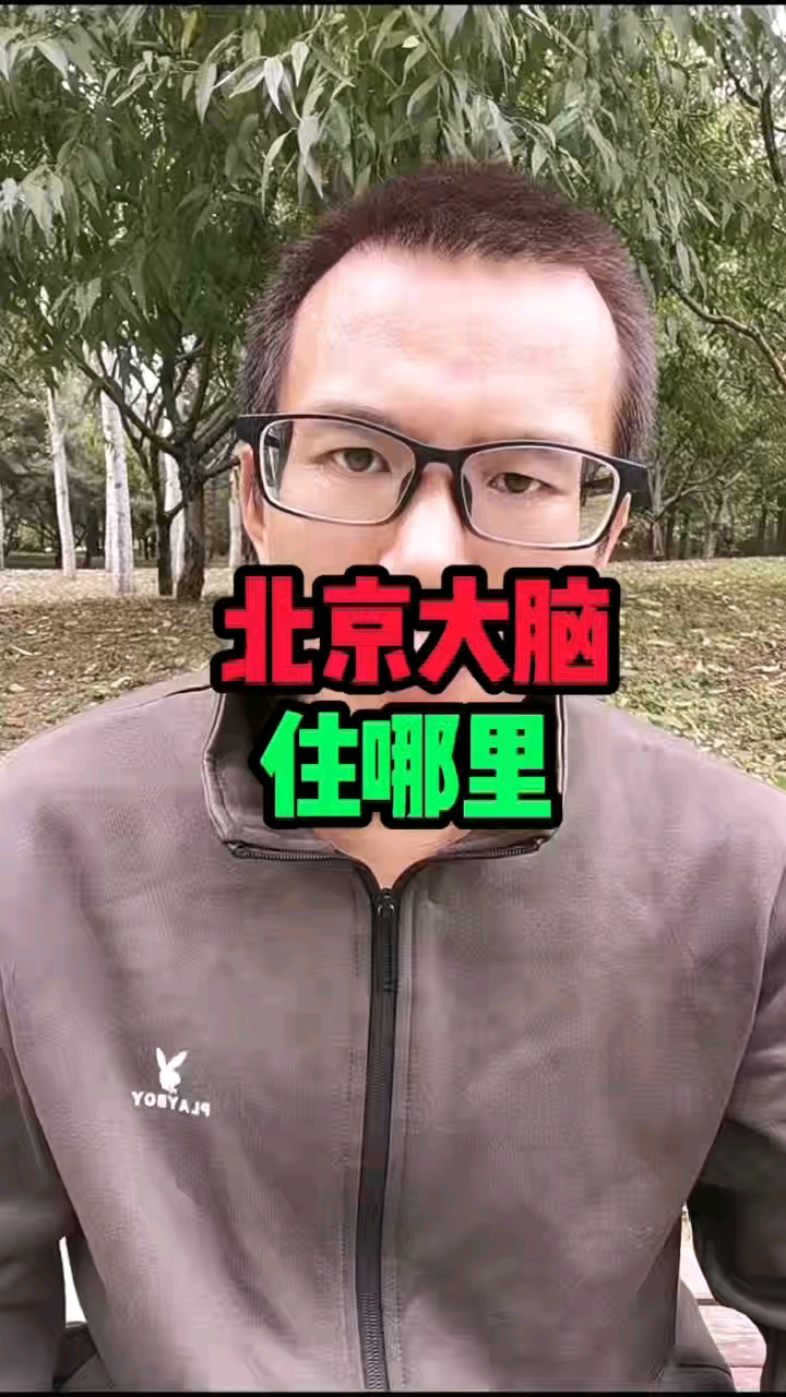 北京大脑住哪里