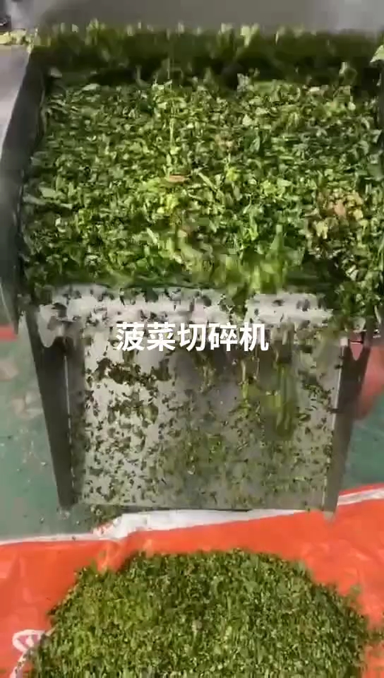 #梅干菜切碎机 #蔬菜切碎机 #日常分享 多功能切菜机 全自