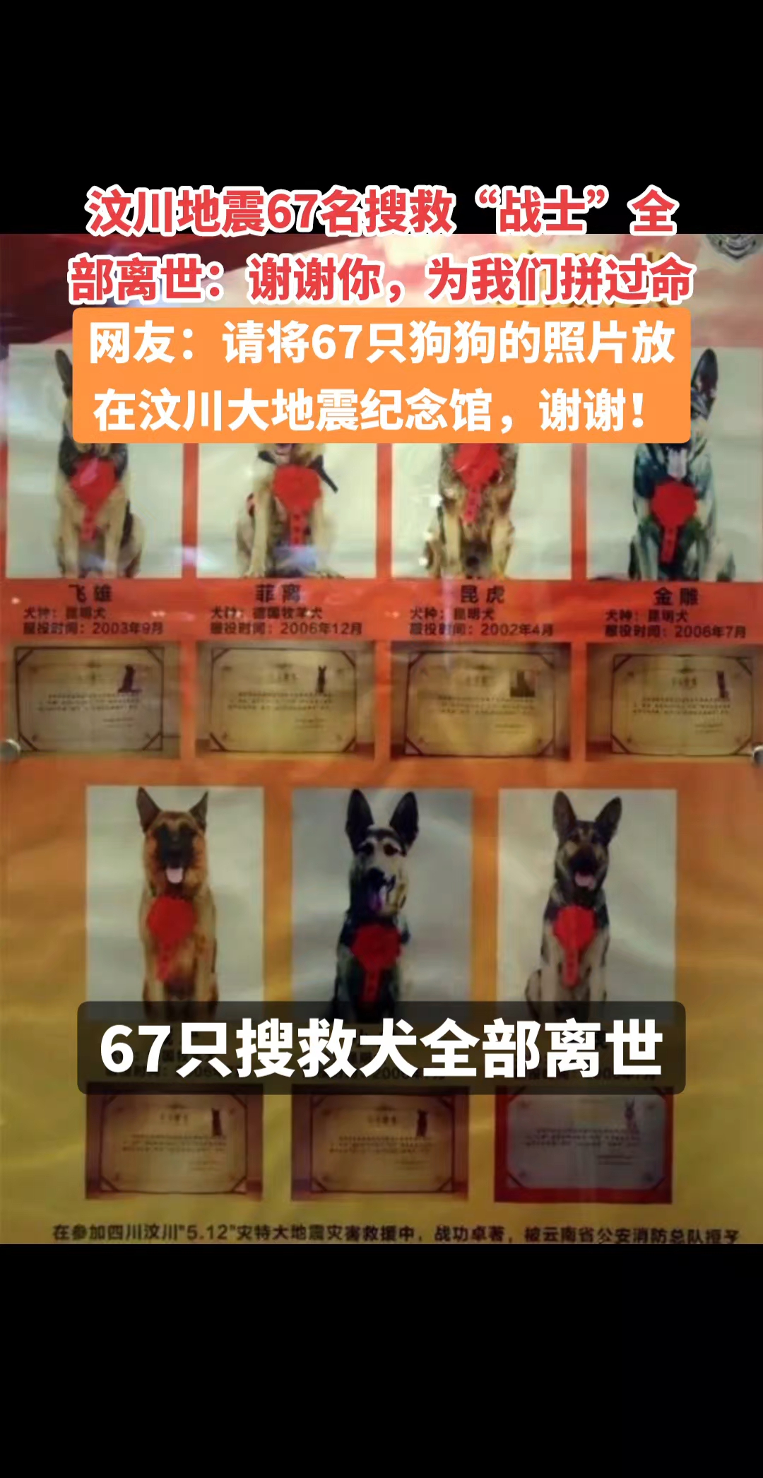 向英雄们致敬,从来不吃狗肉,从我做起