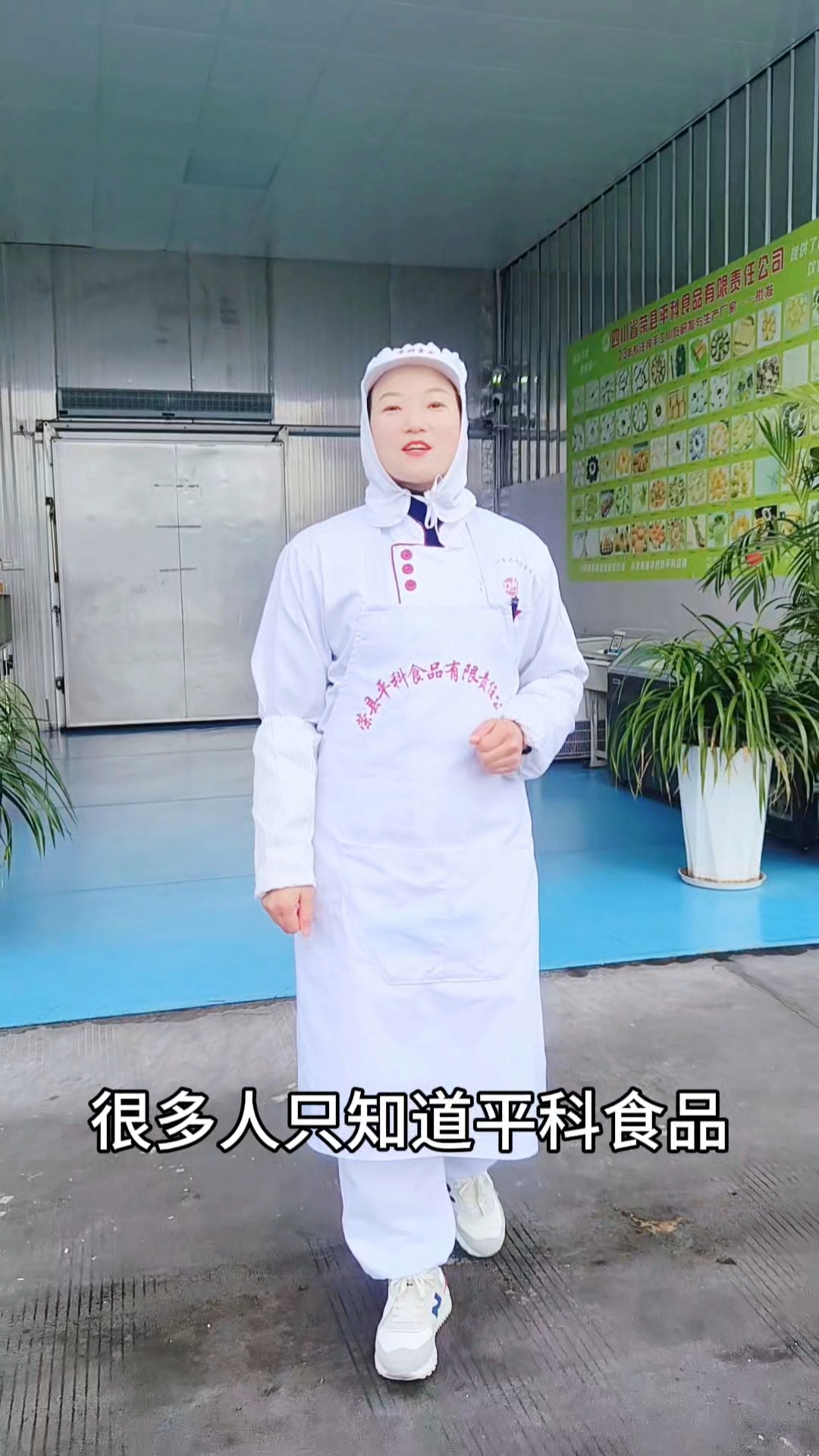 平科食品纯手工速冻面点小吃源头生产厂家