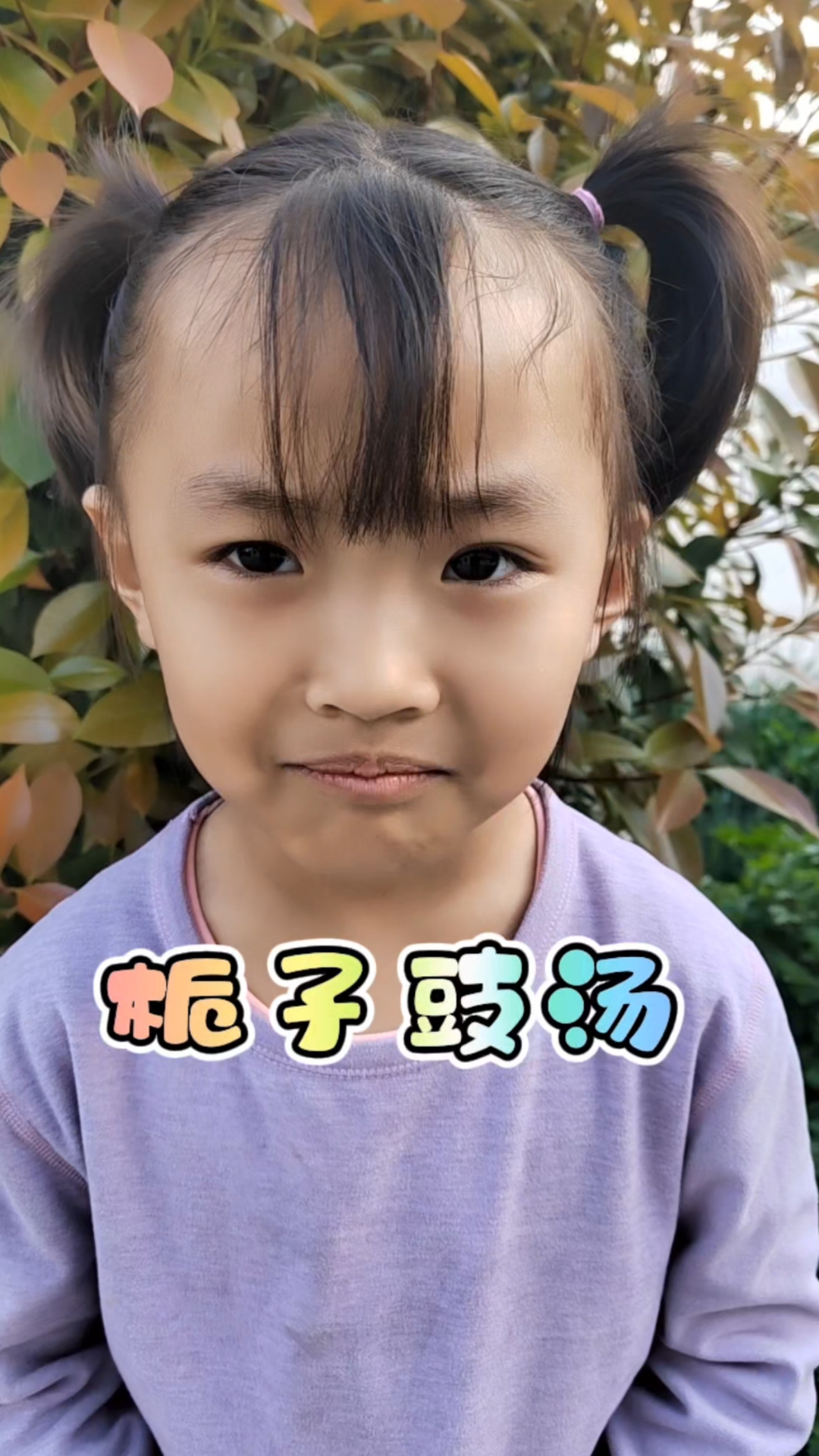 汤头歌诀栀子豉汤