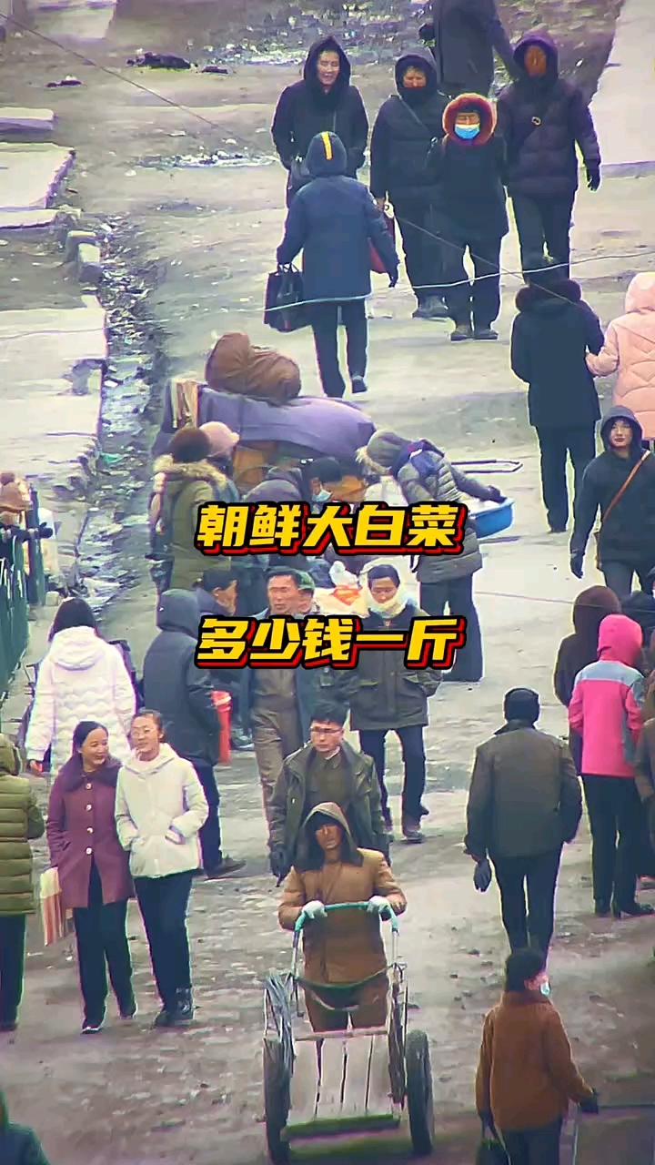 朝鲜大白菜多少钱一斤？
