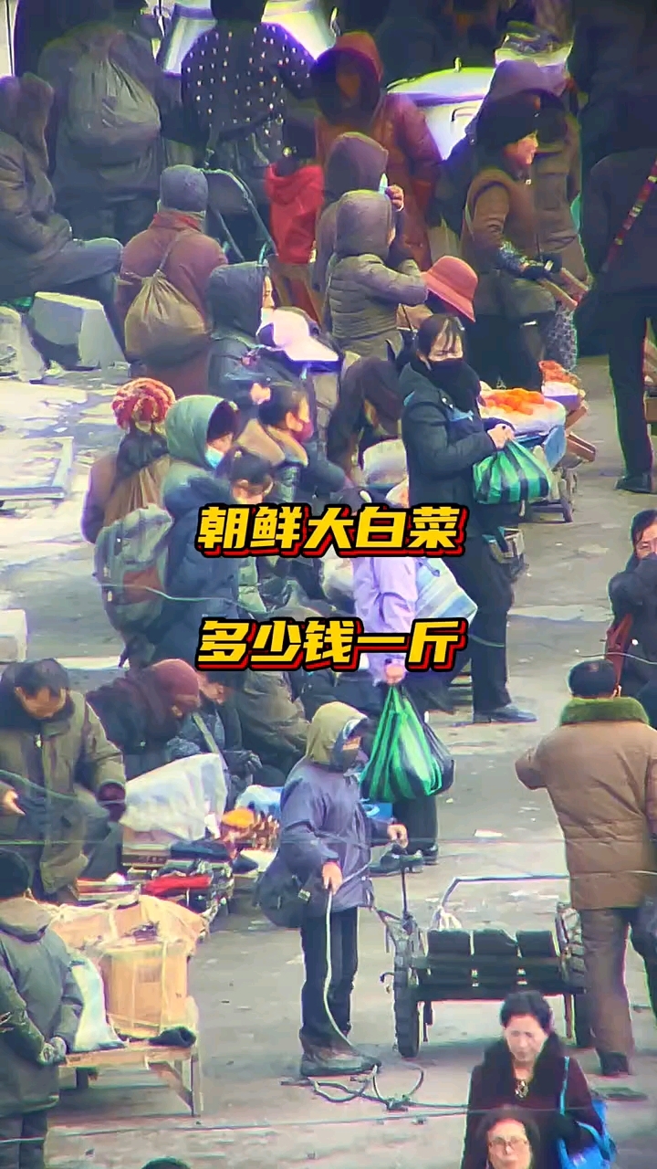 朝鲜大白菜多少钱一斤?