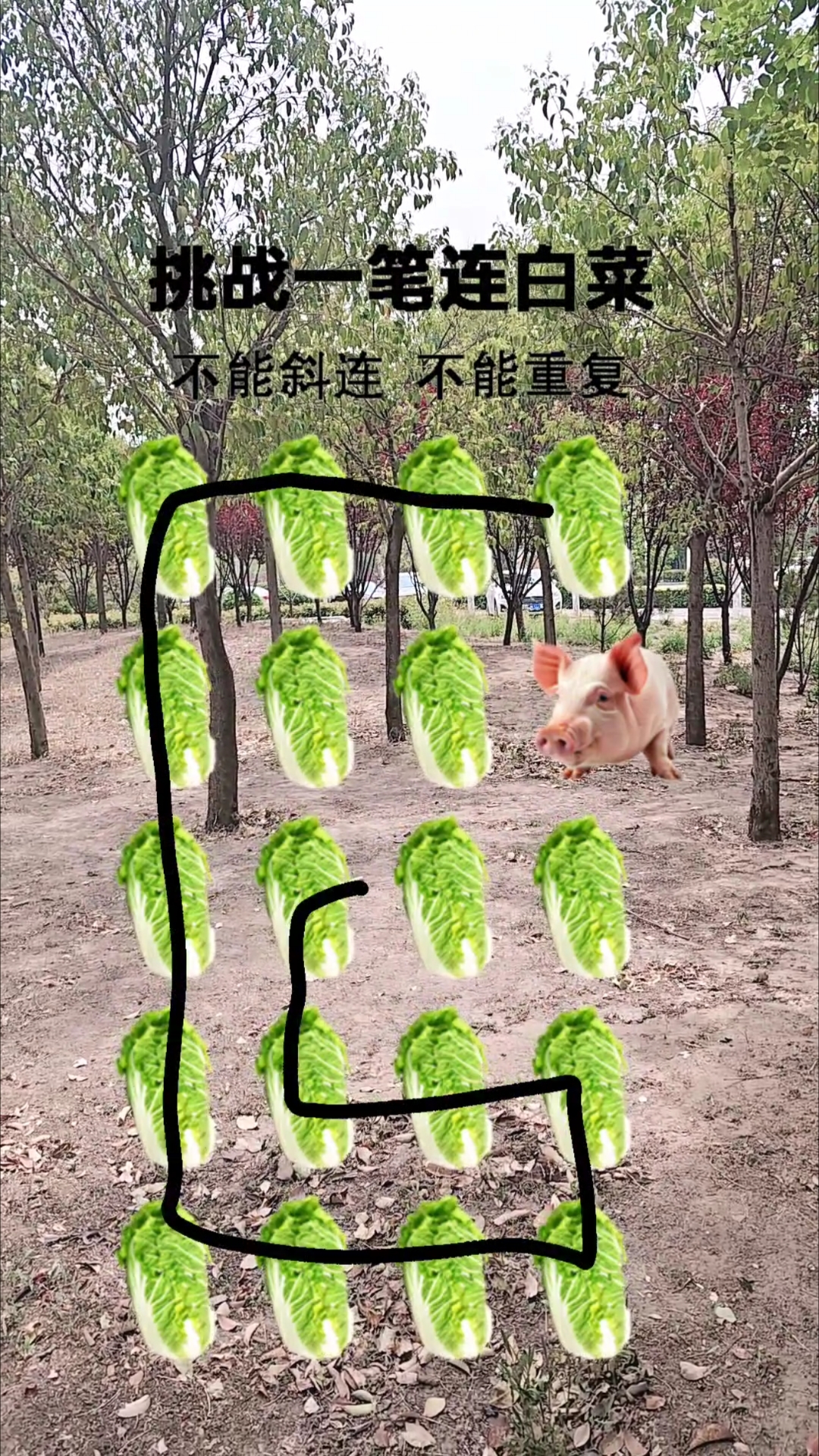 挑战一笔连白菜