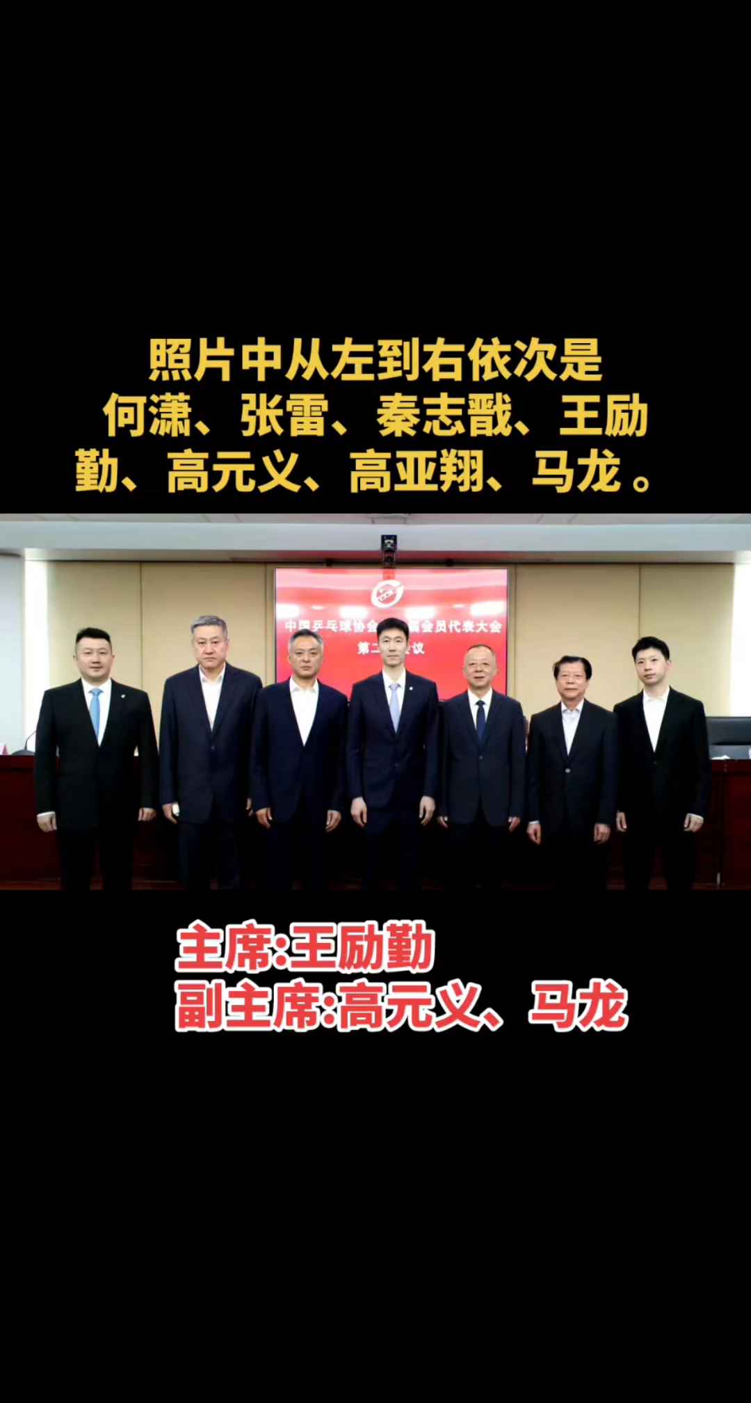 新任中国乒协主席:王励勤,副主席:高元义、马龙。