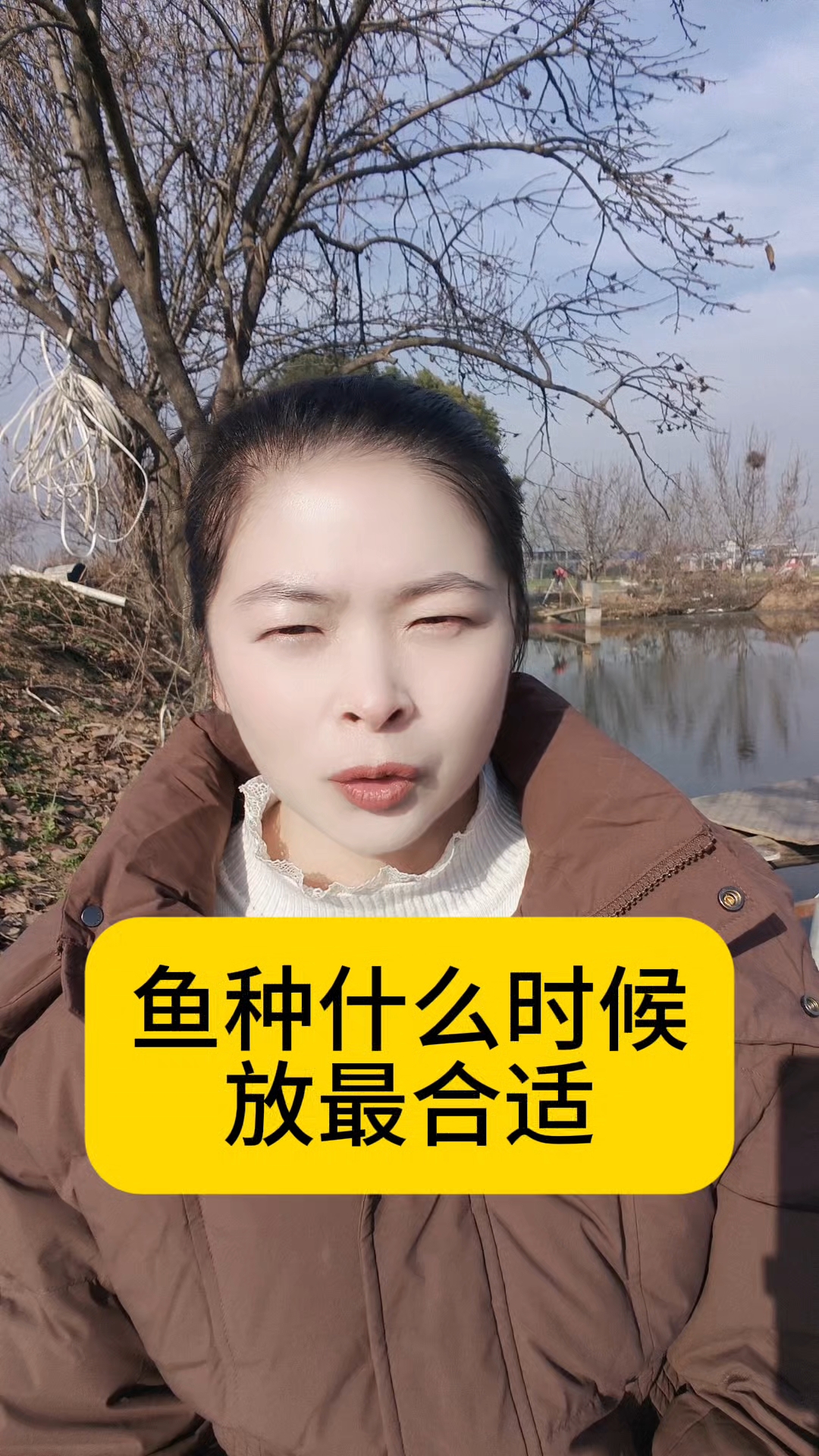 鱼种什么时候放最合适