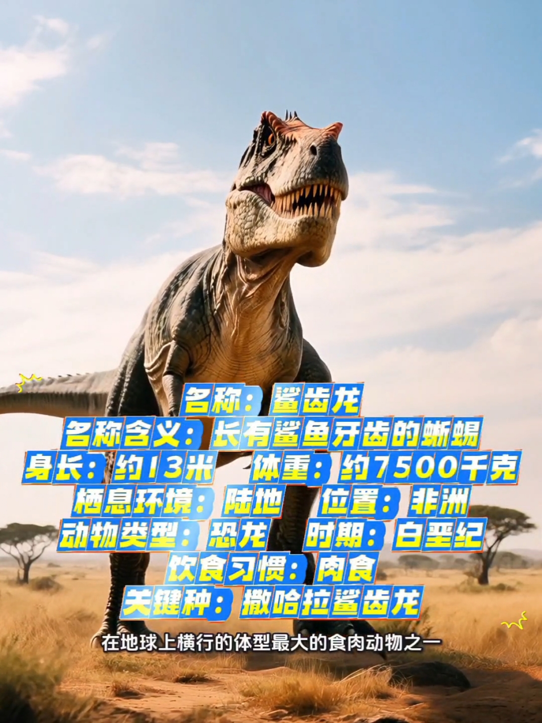 36集/鲨齿龙是有史以来在地球上横行的体型最大的食肉动物之一