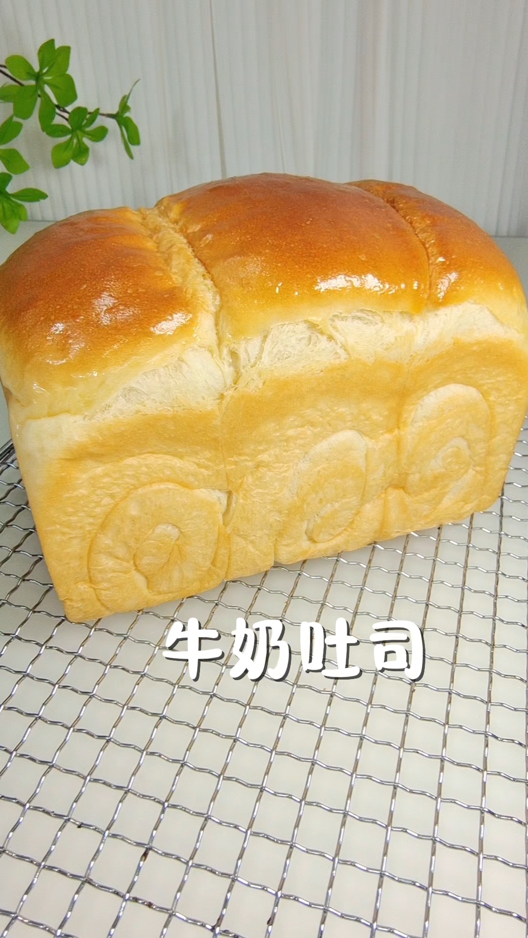 3分钟教你在家做牛奶吐司,不加一滴水,奶香浓郁,弹力十足 