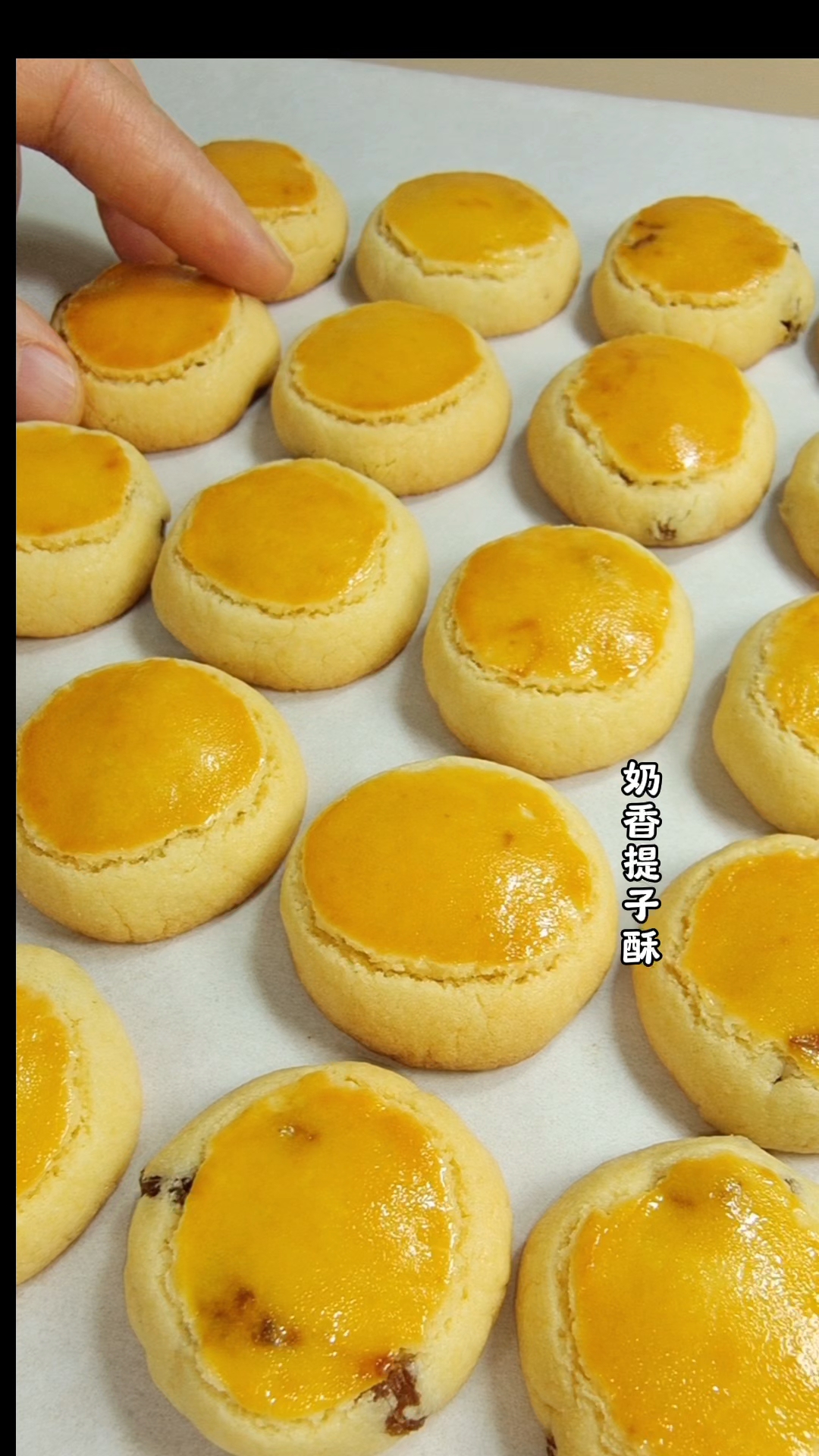 今日复刻鲍师傅奶香提子酥,奶香浓郁,一口酥到掉渣渣