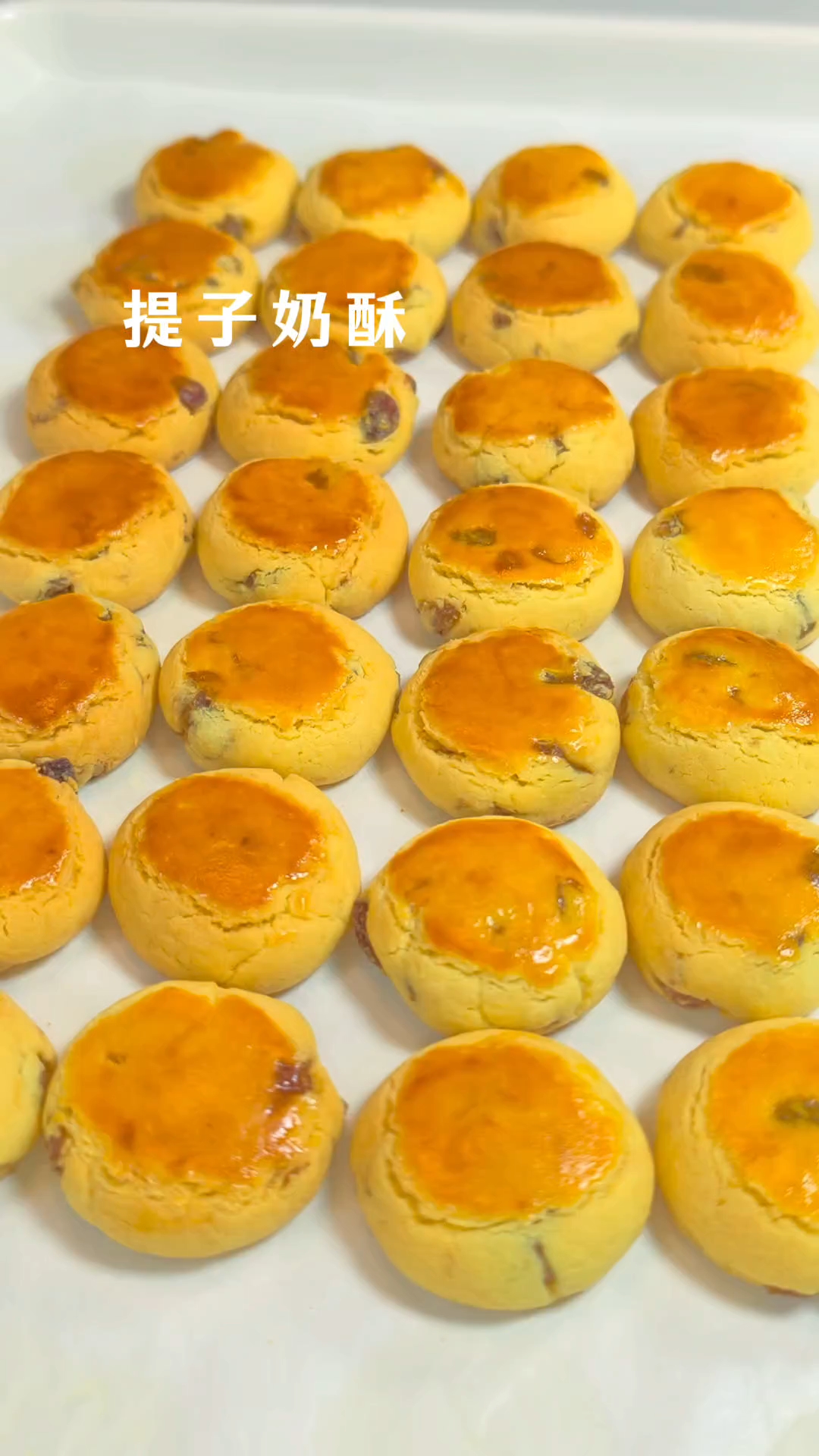 鲍师傅家爆款提子奶酥详细教程!口感又酥又香,新手一次成功