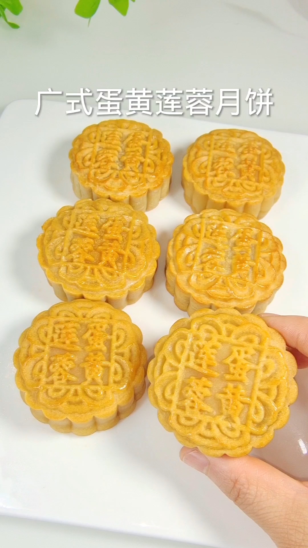 广式蛋黄莲蓉月饼制作详细过程,回油快,不开裂,不塌腰色泽漂亮