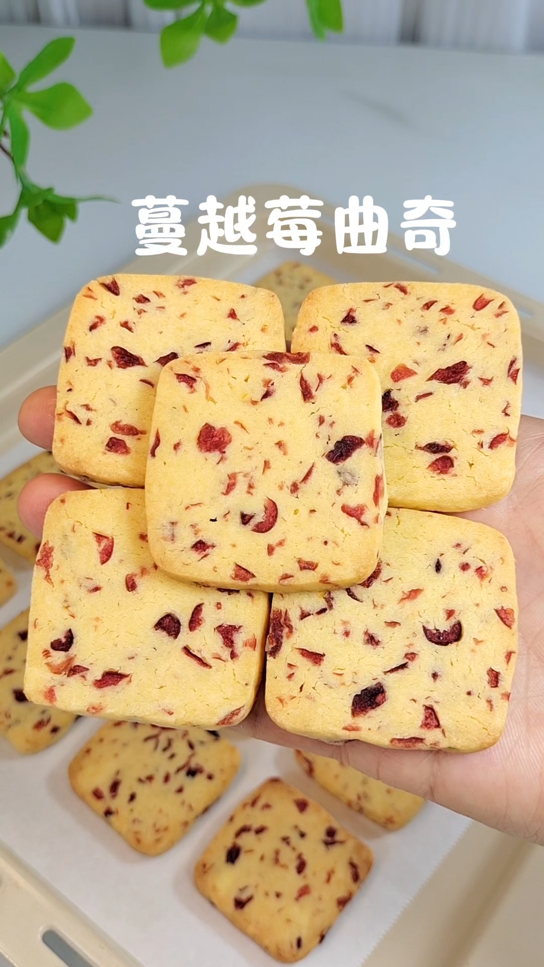 一分钟教你在家做超好吃的蔓越莓曲奇,做法简单,巨巨好吃