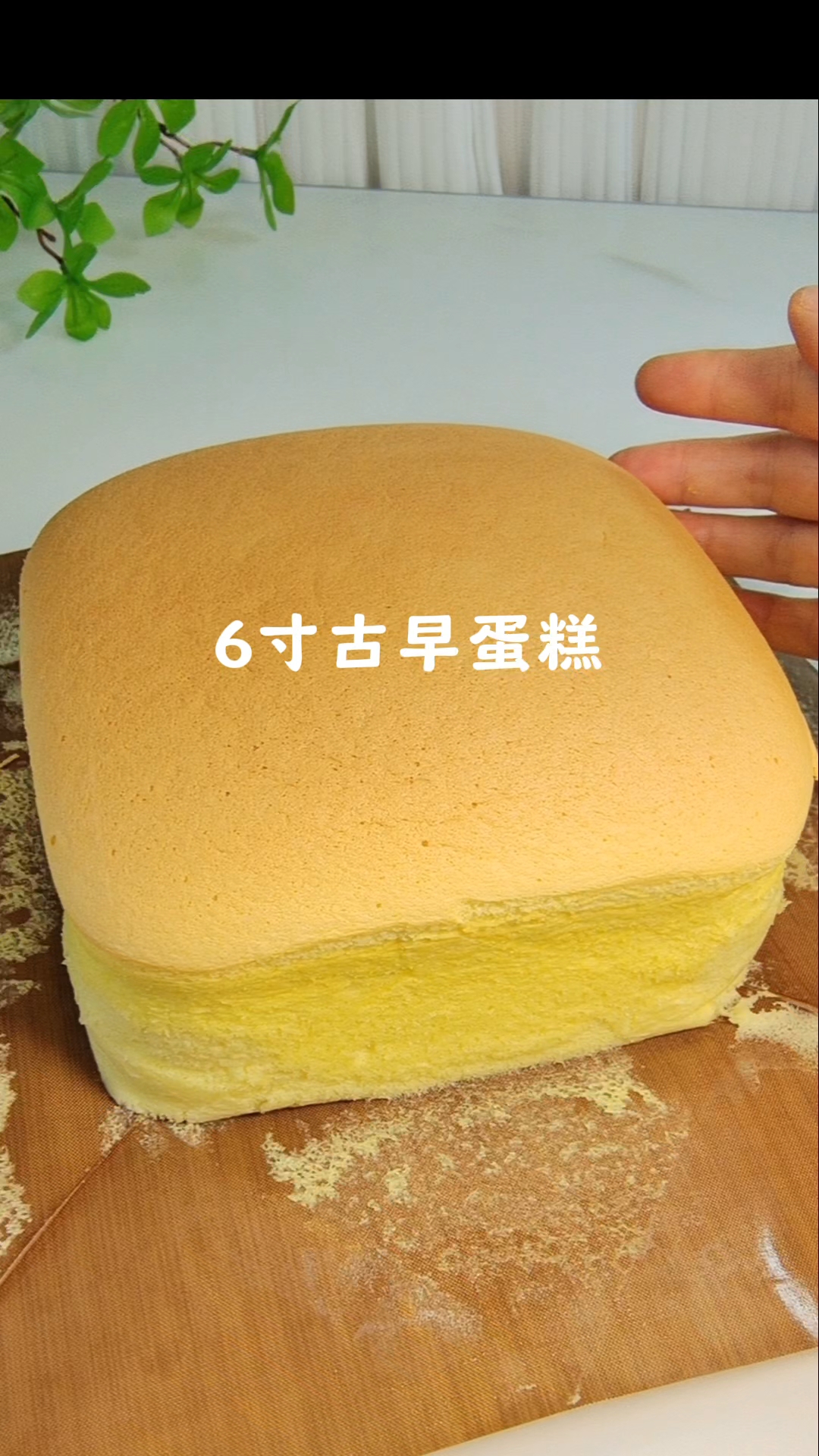 今天分享一款六寸古早蛋糕的简单做法,口感湿润绵密入口即化