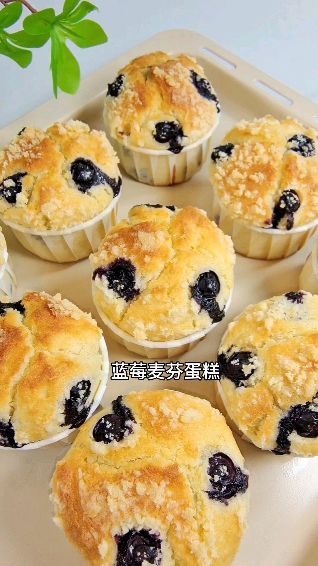 教你用10块钱成本复刻星巴克蓝莓麦芬蛋糕,外壳酥脆香甜太好吃