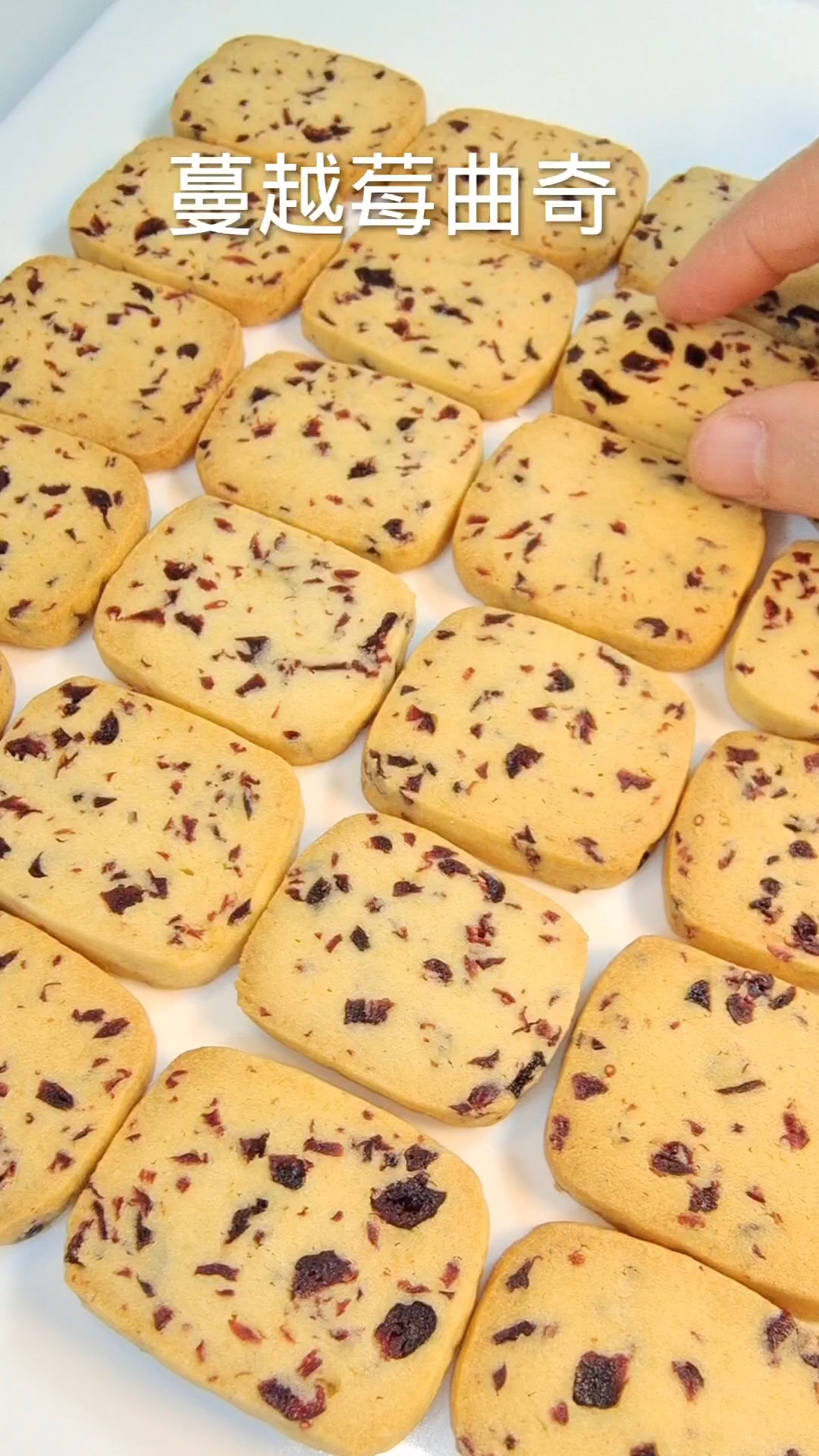 新手也能一次成功的蔓越莓曲奇,酸酸甜甜,酥酥脆脆巨好吃