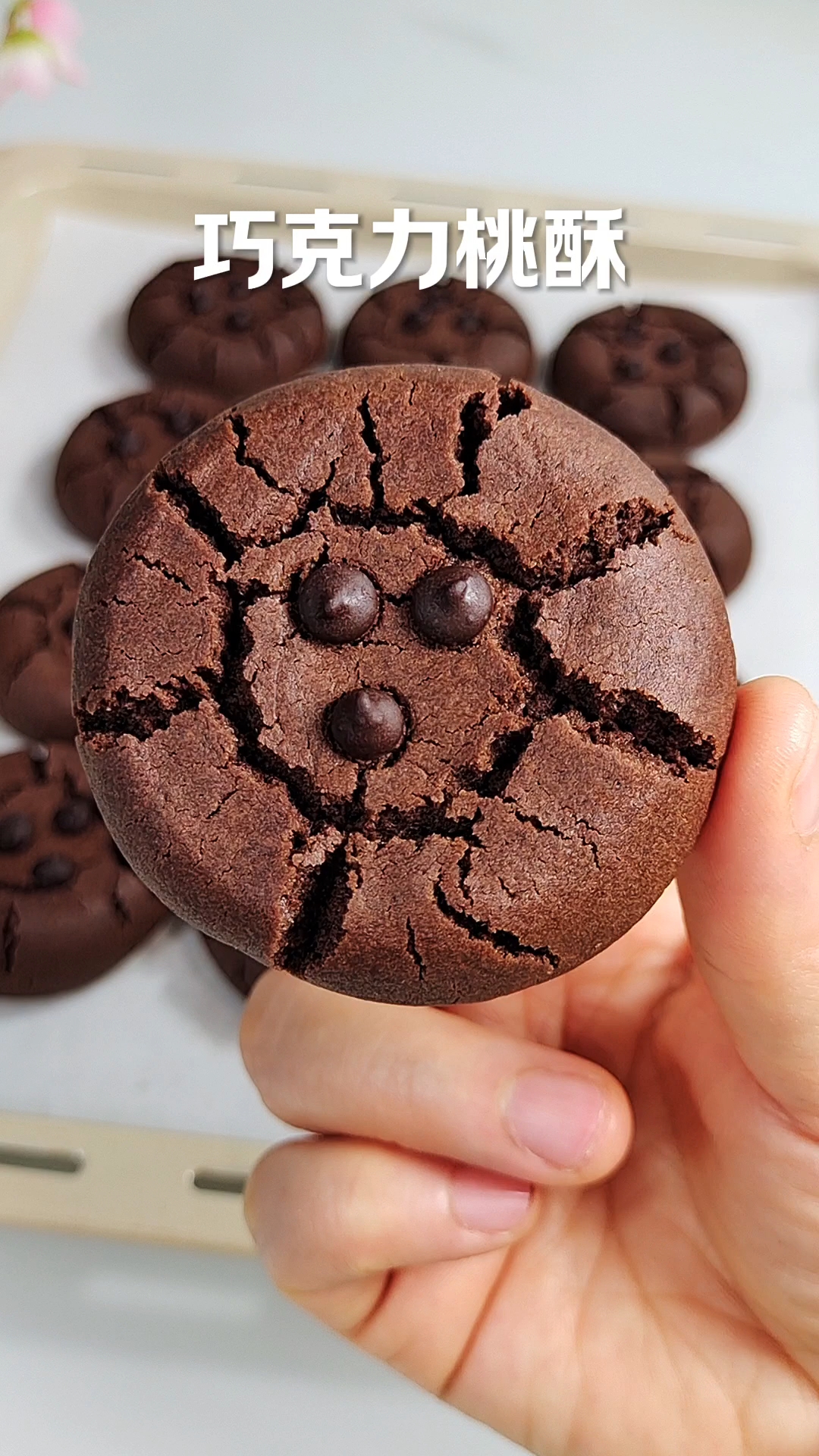 适合新手,一次就能成功的巧克力桃酥,口感酥香掉渣