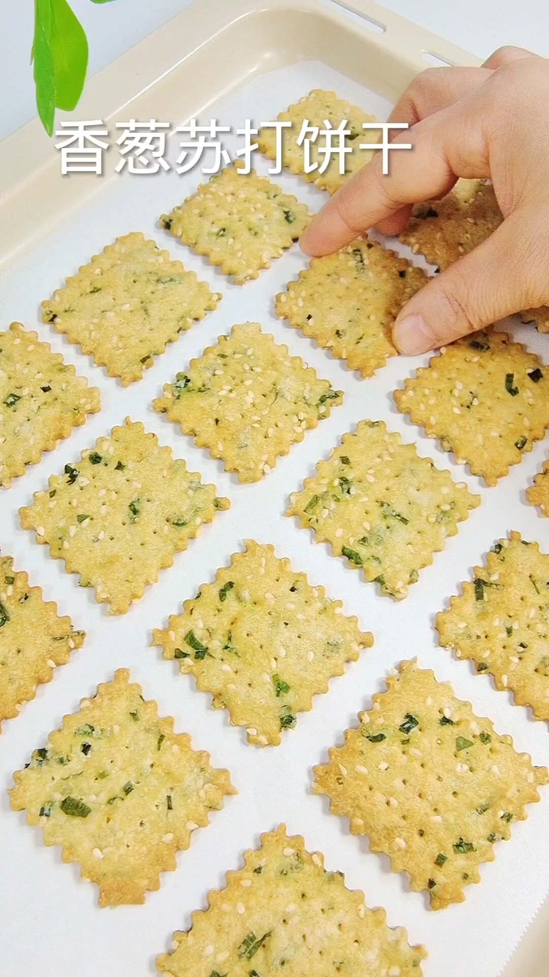 有手就能做的香葱苏打饼干