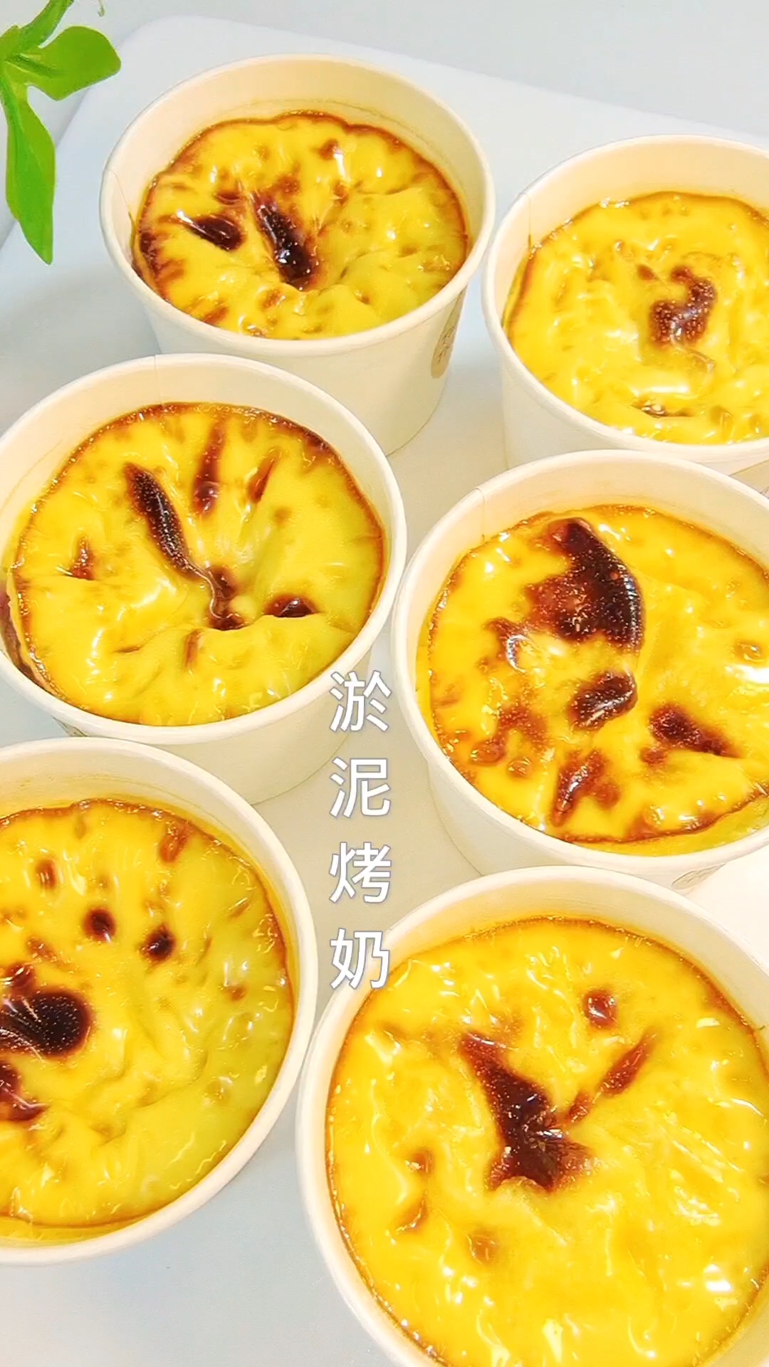 最近火出圈的芋泥烤奶教程来啦!一口下肚,暖在心里呀