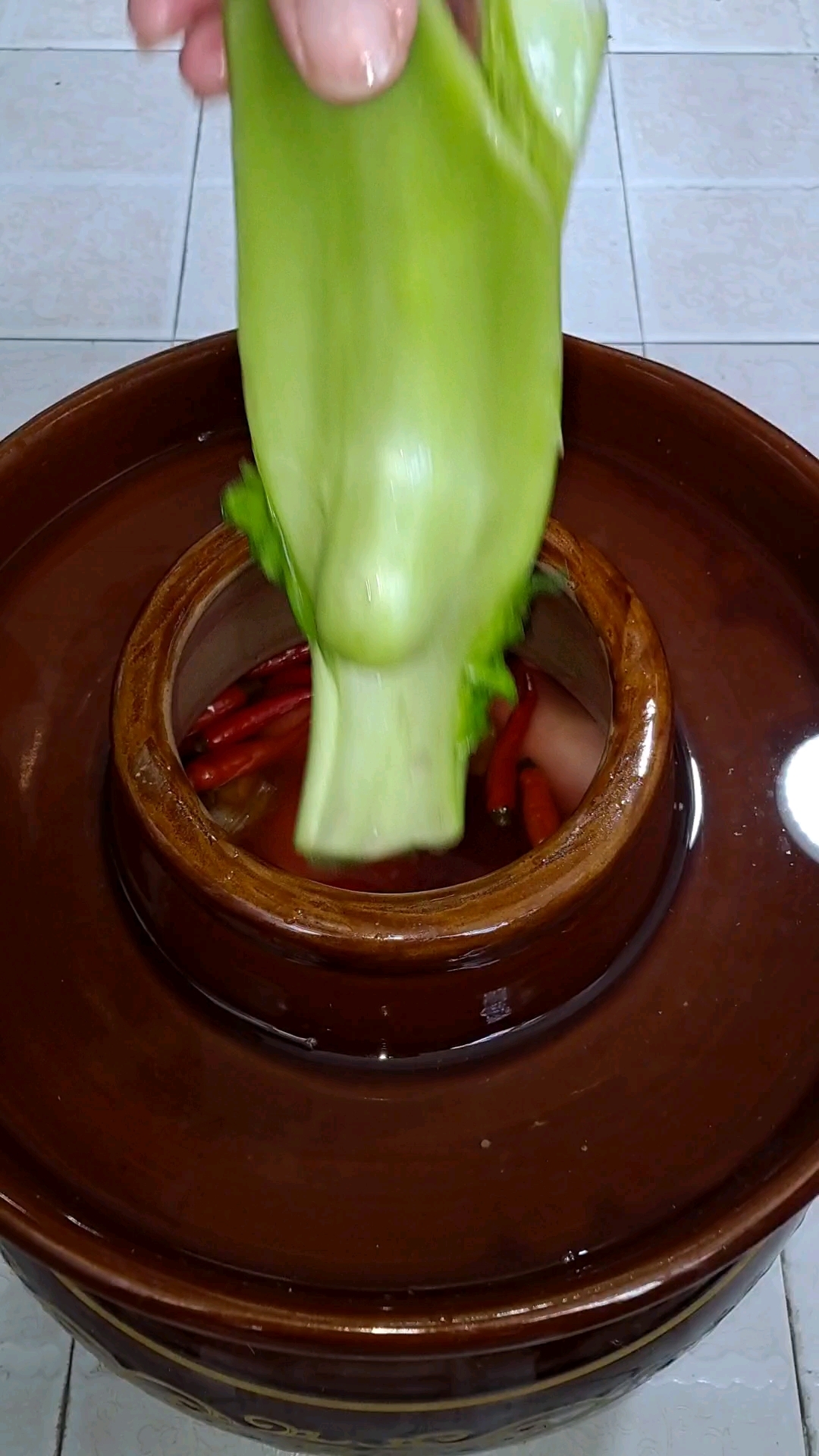 四川老坛泡菜泡青菜