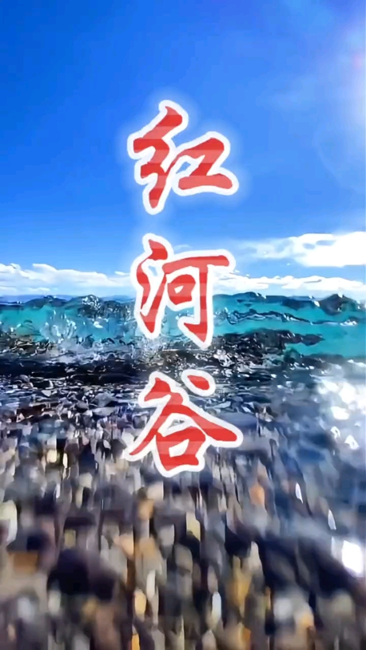 复音口琴二重奏《红河谷》G调