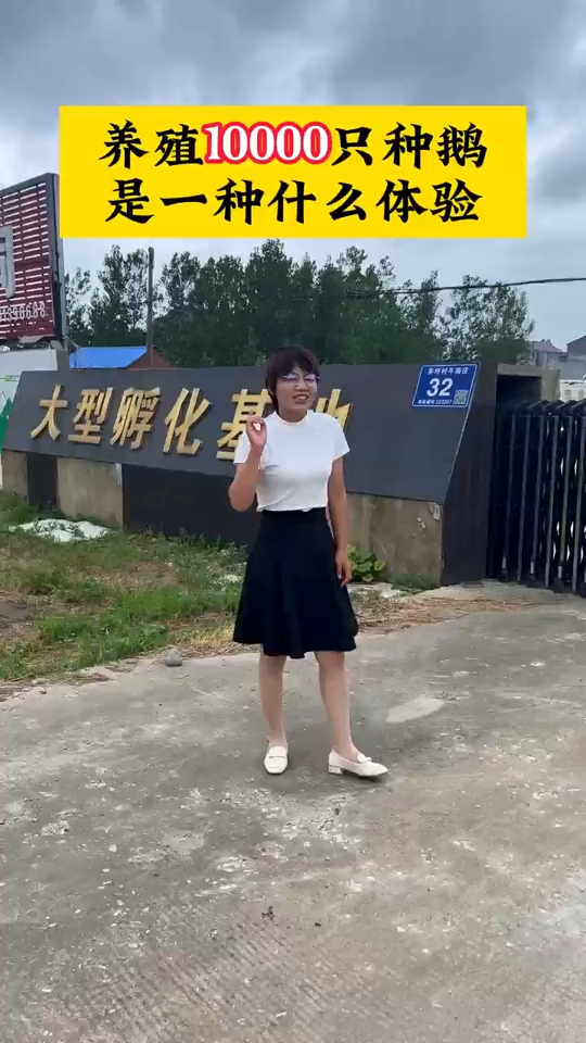 拥有自己的孵化场和种鹅场,不经风雨,怎见彩虹。