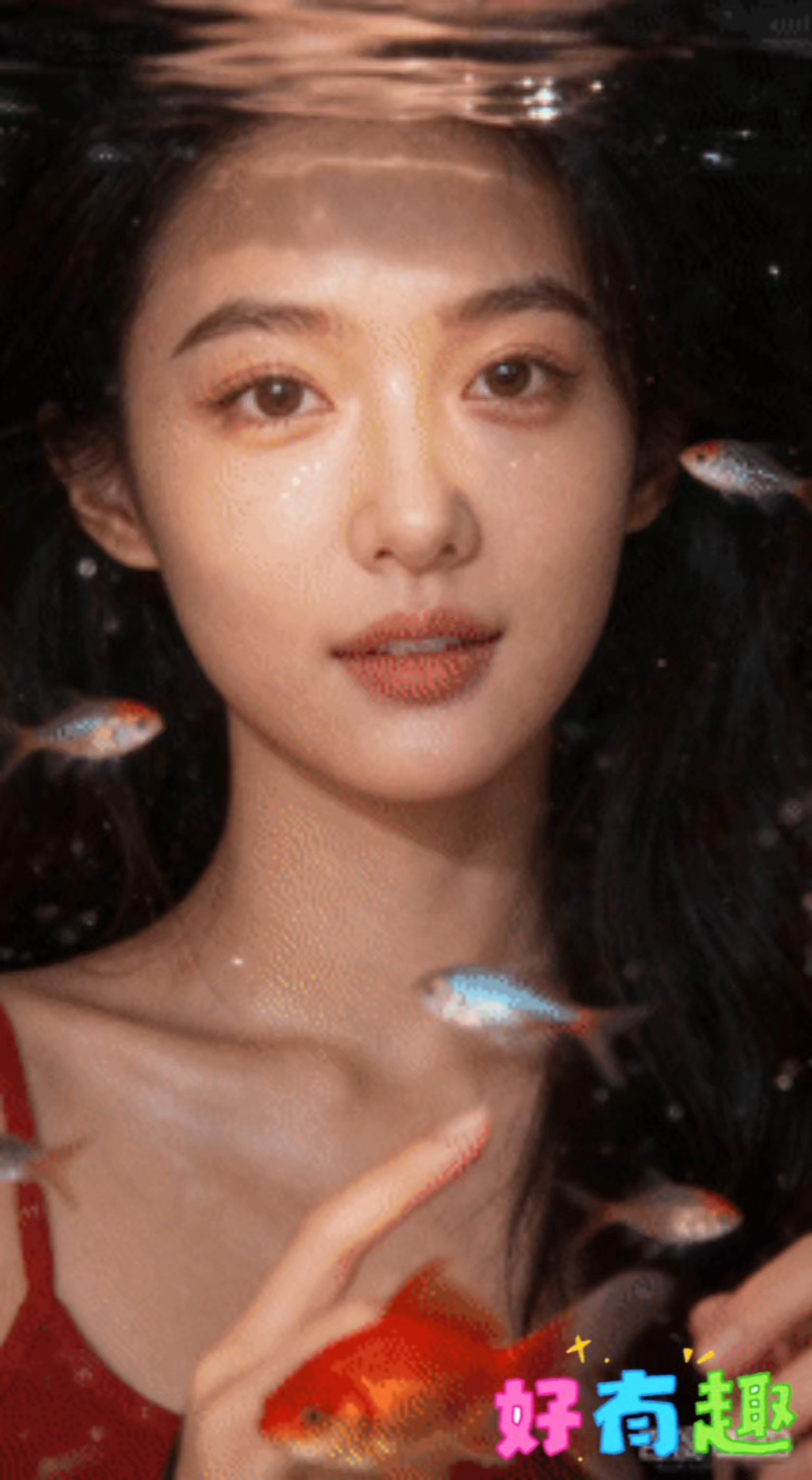 百度AI视频模板。创意特效,金鱼写真,