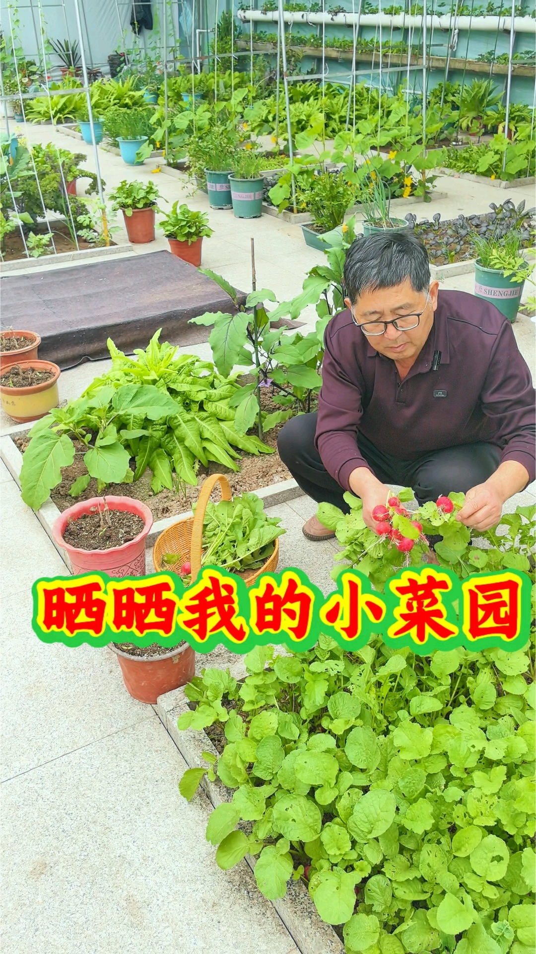小菜园里,一年四季绿油油,有吃不完的各种新鲜蔬菜,这样的生活