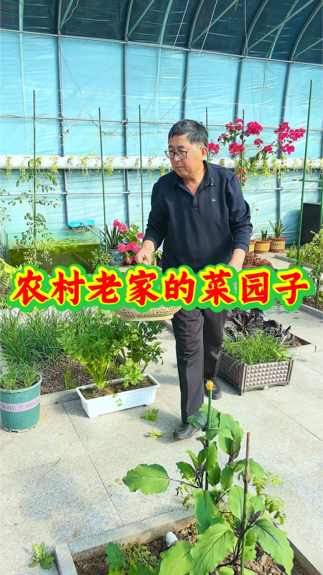 最美的风景在农村，有一个小菜园，既种菜又养鸡，这样的生活你喜