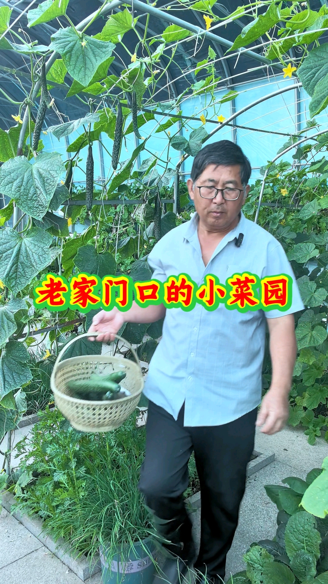 老家门口有个小菜园,小菜园里种满了各种各样的瓜果蔬菜。#星农