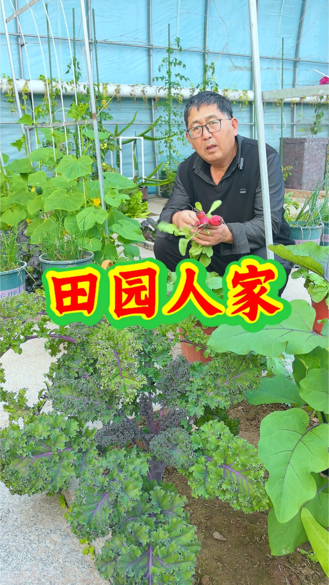 有一个小菜园,种上各种各样的蔬菜,吃的方便,吃的放心。