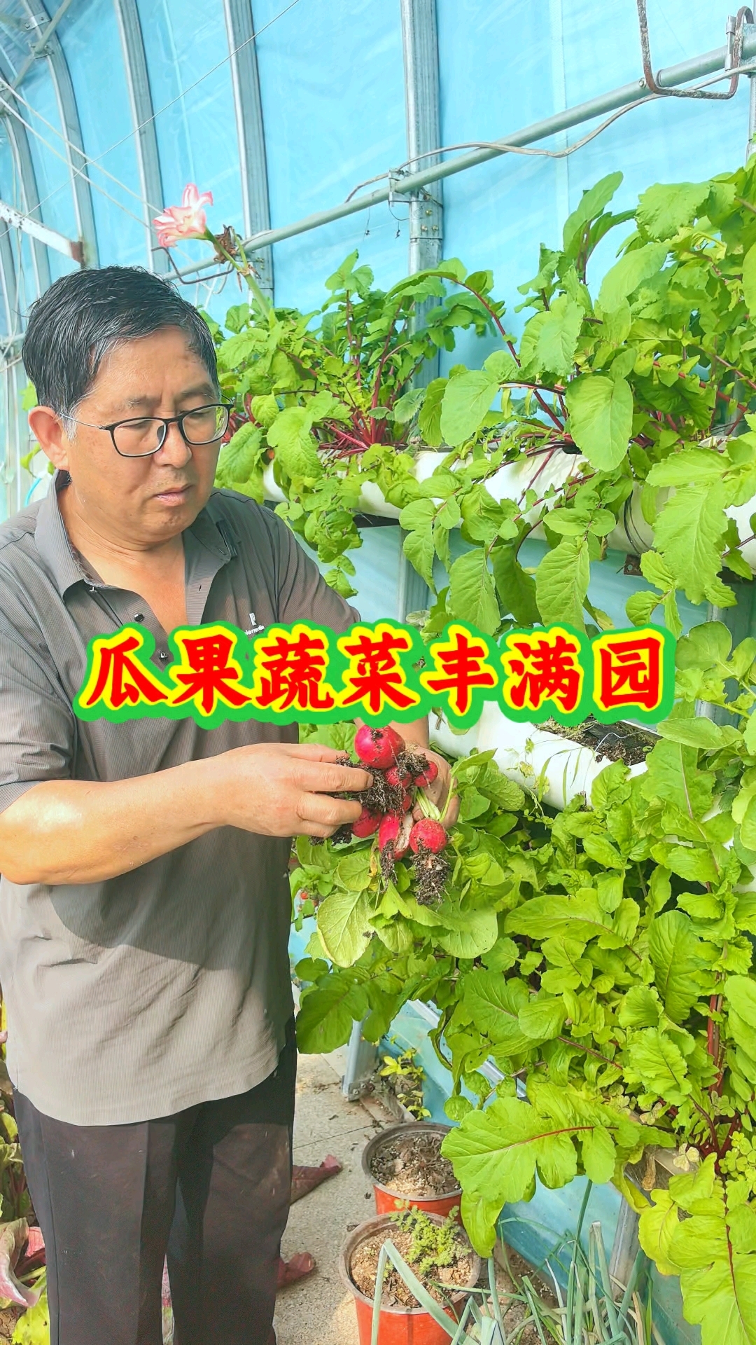 小菜园里,各种瓜果蔬菜应有尽有。#星农人计划 #我家有个小菜