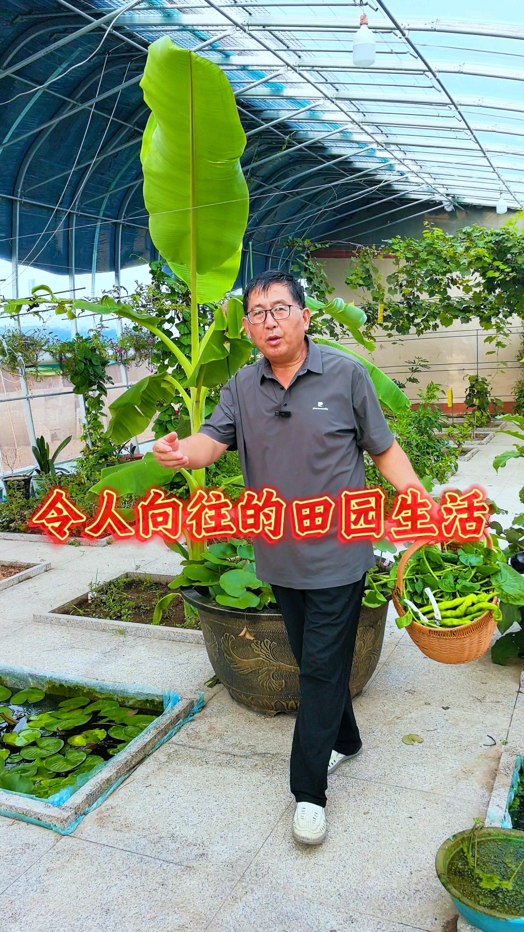 每天在自家菜园里，种菜养花，这样的田园生活你是否也喜欢？