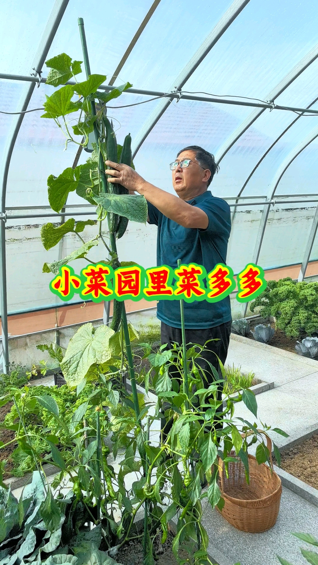 有个小菜园，就有吃不完的各种新鲜蔬菜。 #家庭种植 #我家有