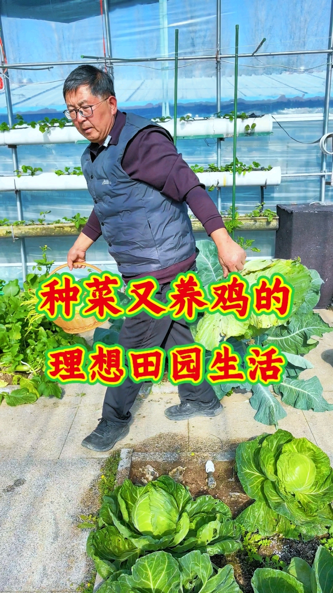 在自家菜园中种菜又养鸡,把菜叶子喂鸡,鸡产蛋人吃,这样的良性