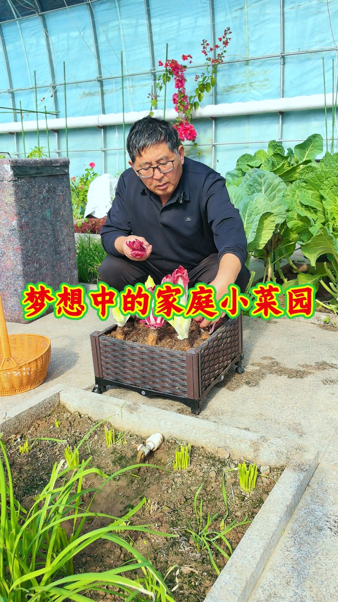 把自家小菜园，种上各种各样的菜，吃的方便，吃着放心。#家庭种