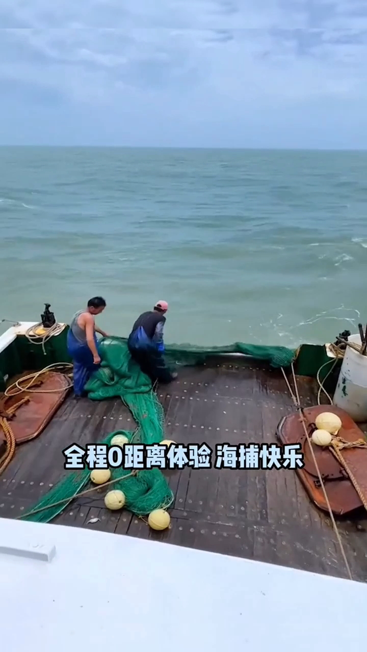 舟山出海捕鱼傍晚,夕阳把海面染成金红色,像打翻了巨大的调色盘
