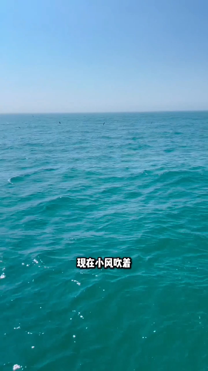舟山朱家尖出海捕鱼 ,梭子蟹举螯演兵,银鲳鱼摆尾溅起星屑雨,