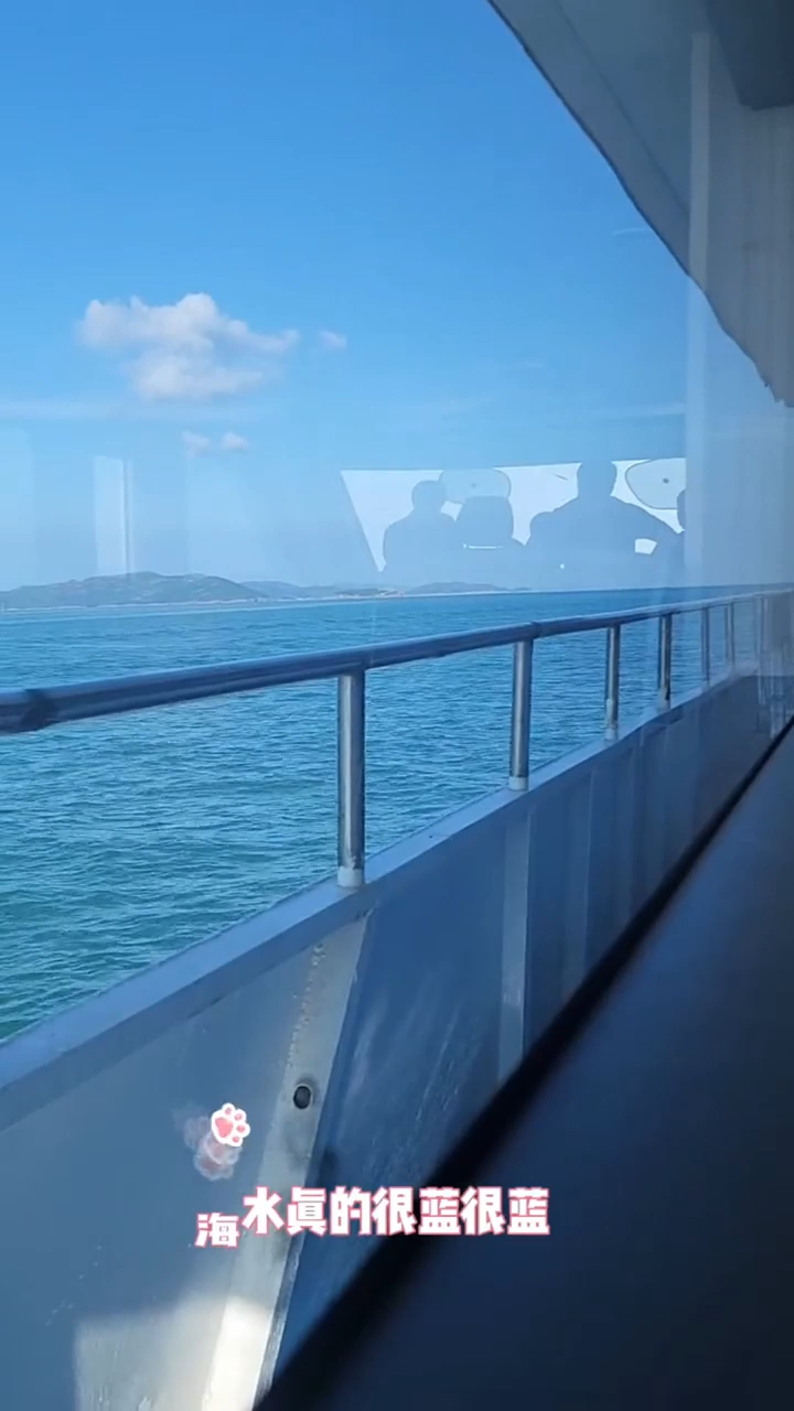 江浙沪周边推荐舟山出海捕鱼,东海海风治愈心灵,开启别样度假体