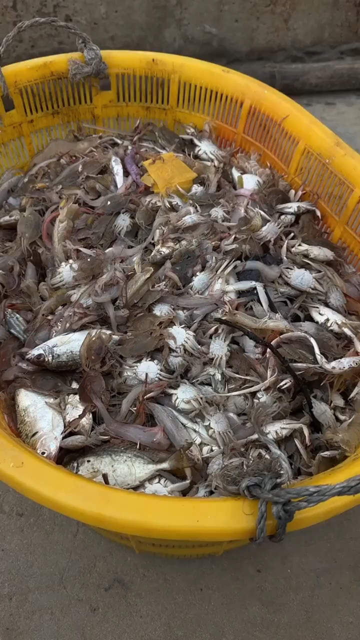 舟山朱家尖出海捕鱼游晓色初开出浪重,追霞桅影破云踪。