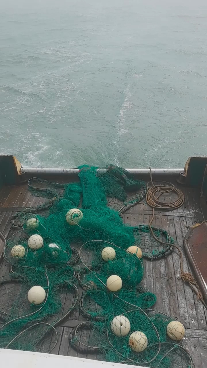 舟山朱家尖出海捕鱼游朱家尖晓挂云帆,破浪穿岚指蔚蓝。