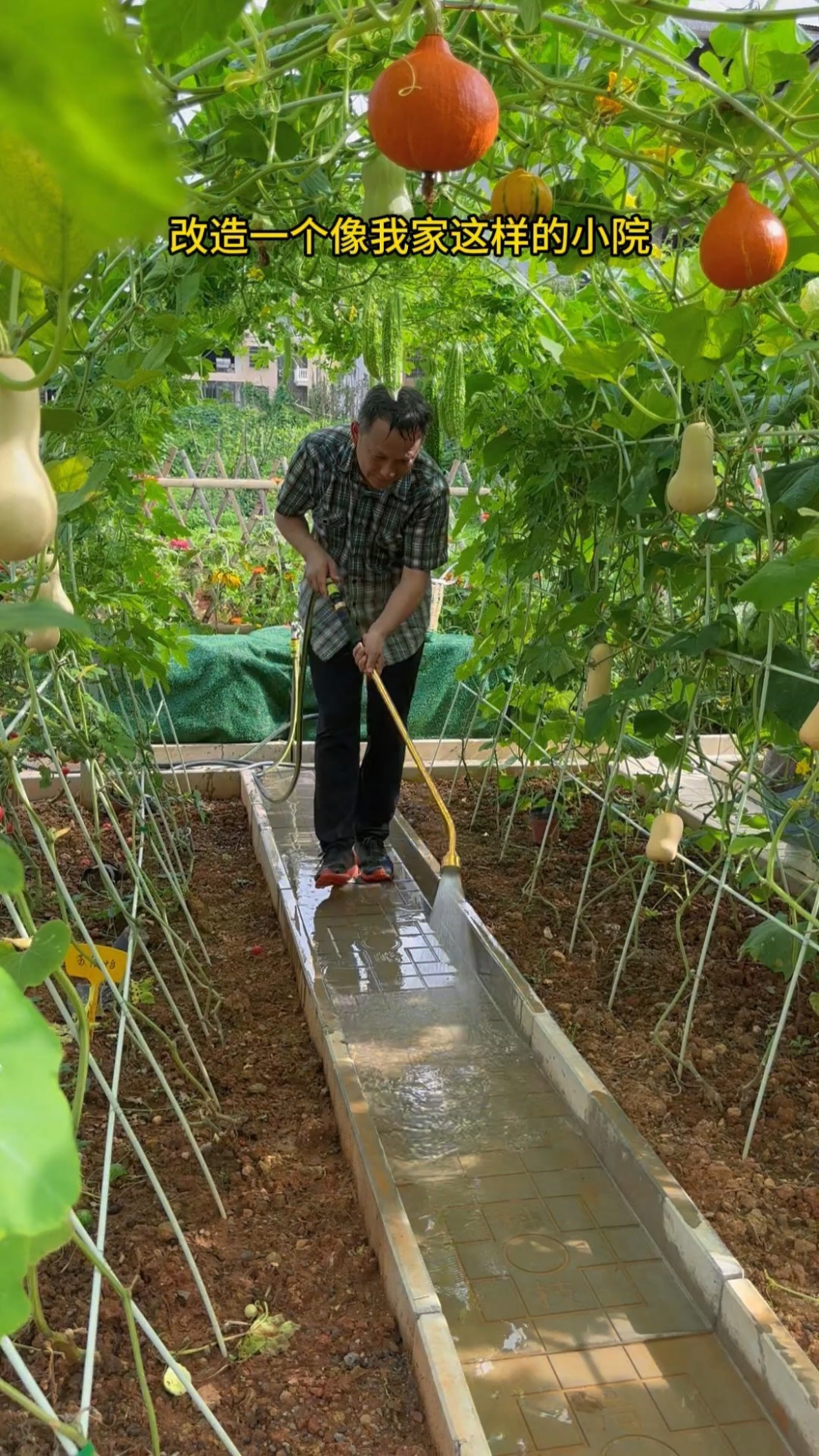 菜园整体建设费用不多,但改造效果却提高了几个档次!