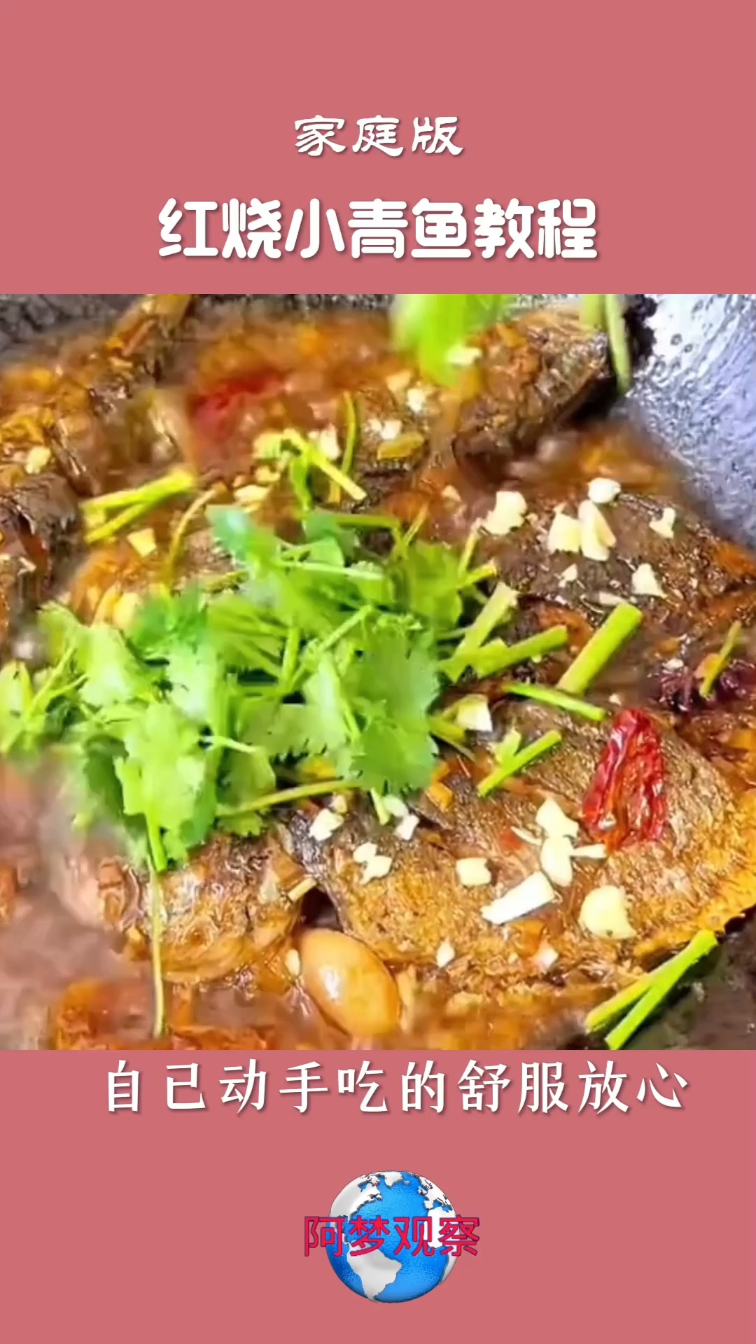 家庭版红烧青鱼简易教程