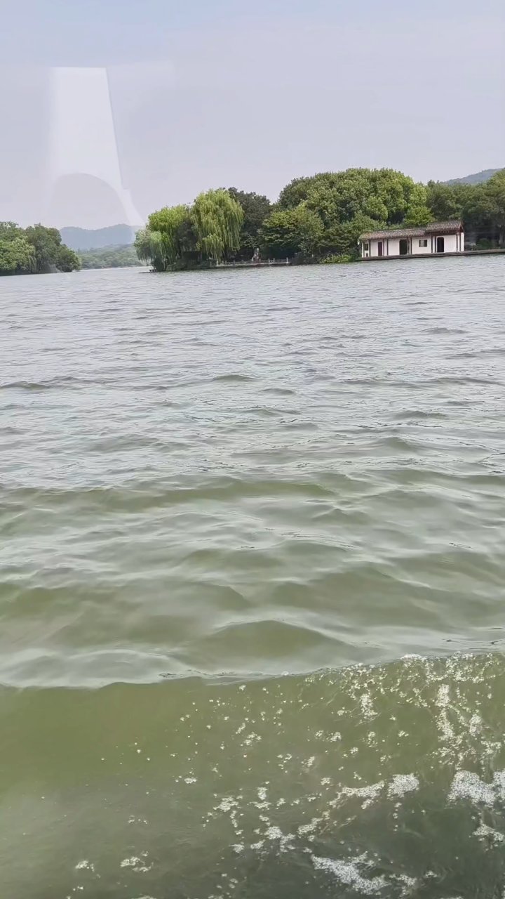 分享视频