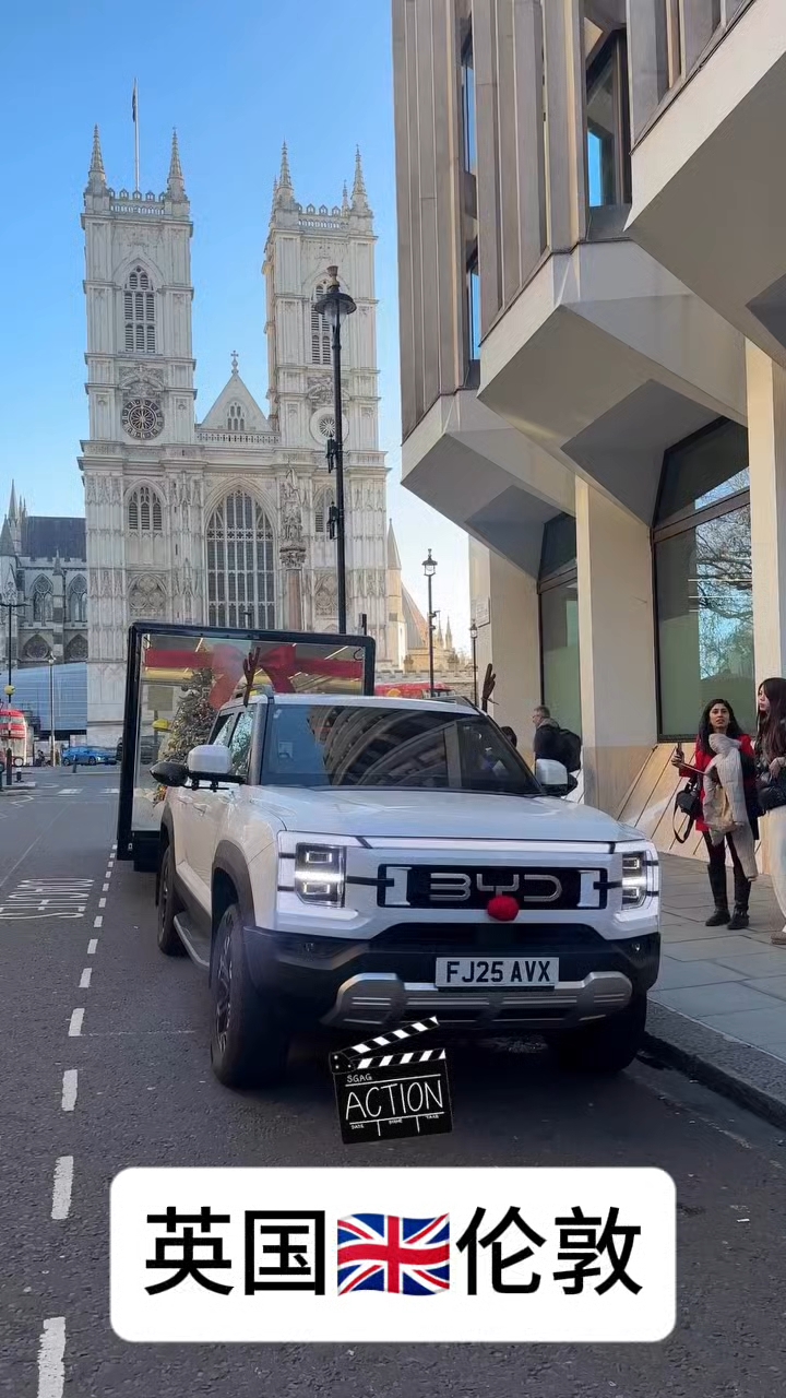 英国热门进口车品牌比亚迪比亚迪鲨鱼皮卡拖着可爱海鸥 #比亚迪
