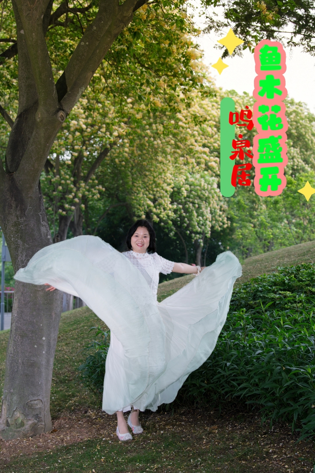鸣泉居的鱼木花,究竟美成什么样?#摄影#人像摄影#户外摄影