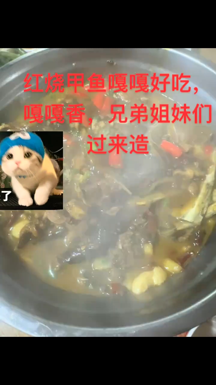 甲鱼红烧做法最好吃的,吃的特别到位。