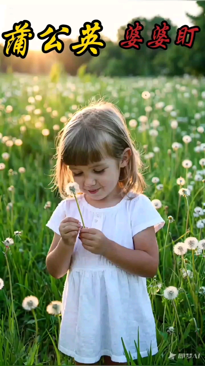 #春日野菜#蒲公英#美味美食#发布于黑龙江省#