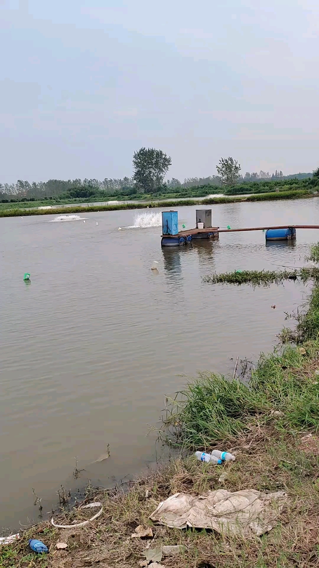 如何养好黄颡鱼?