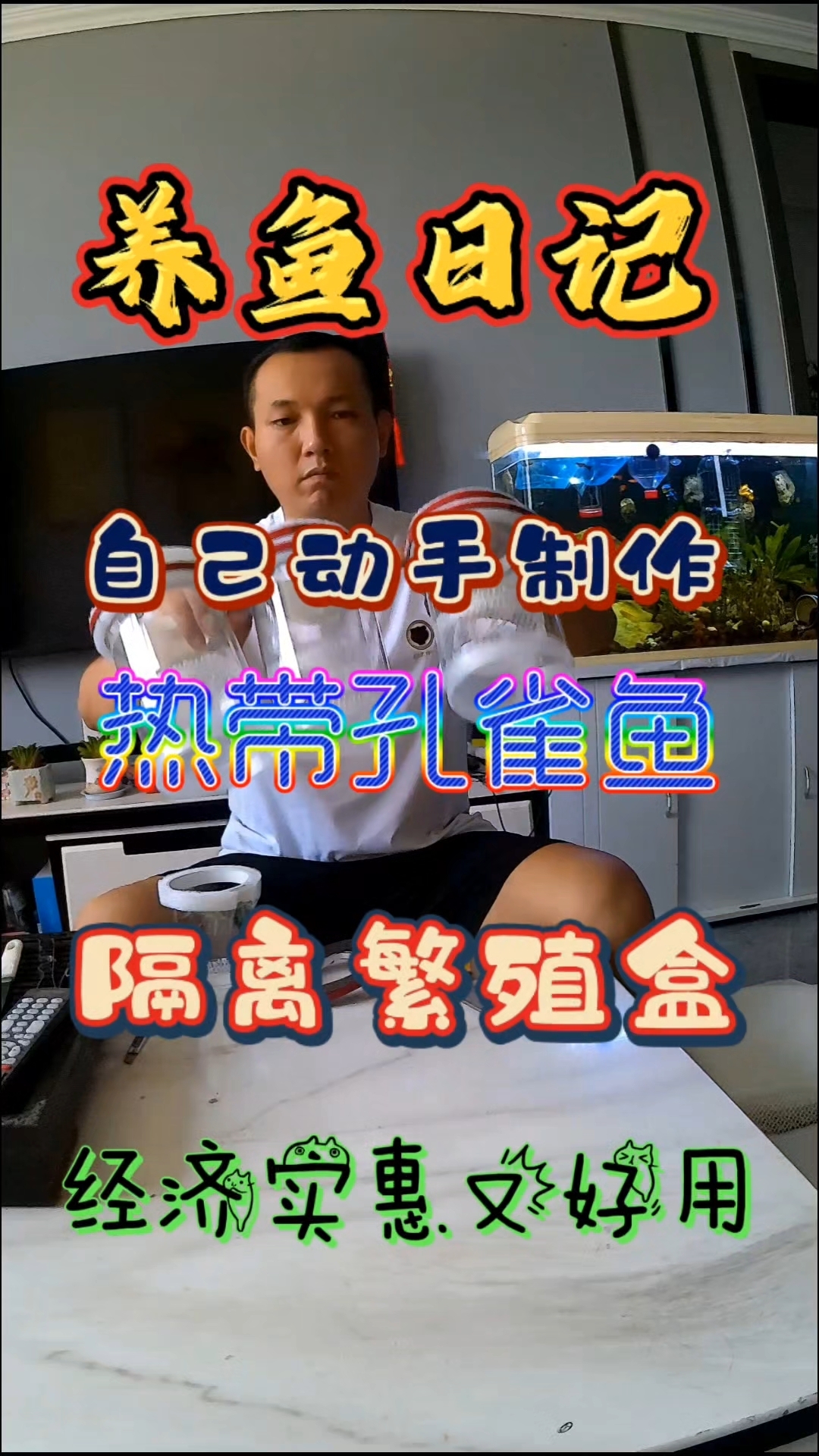 养鱼日记:自己动手制作热带孔雀鱼隔离繁殖盒,经济实惠又好用,